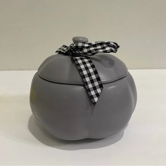 Rae Dunn Mini FALL holiday decor Pumpkin - Grey - 4 inch - Canister - Picture 6 of 10